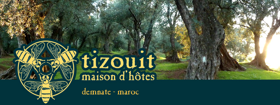 Excursions, trek, VTT et visites locales